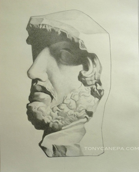 Bargue Drawing by Tony Canepa Bargue Drawing by Tony Canepa